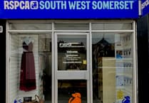 Wellington RSPCA shop to reopen this week